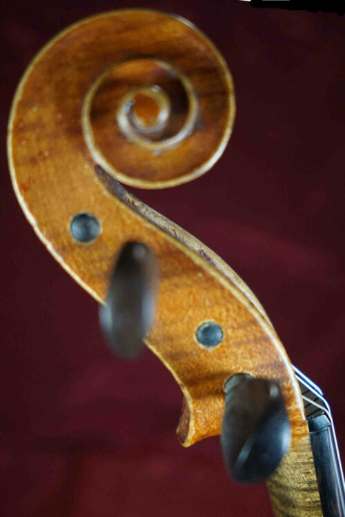 violon débutant cusset