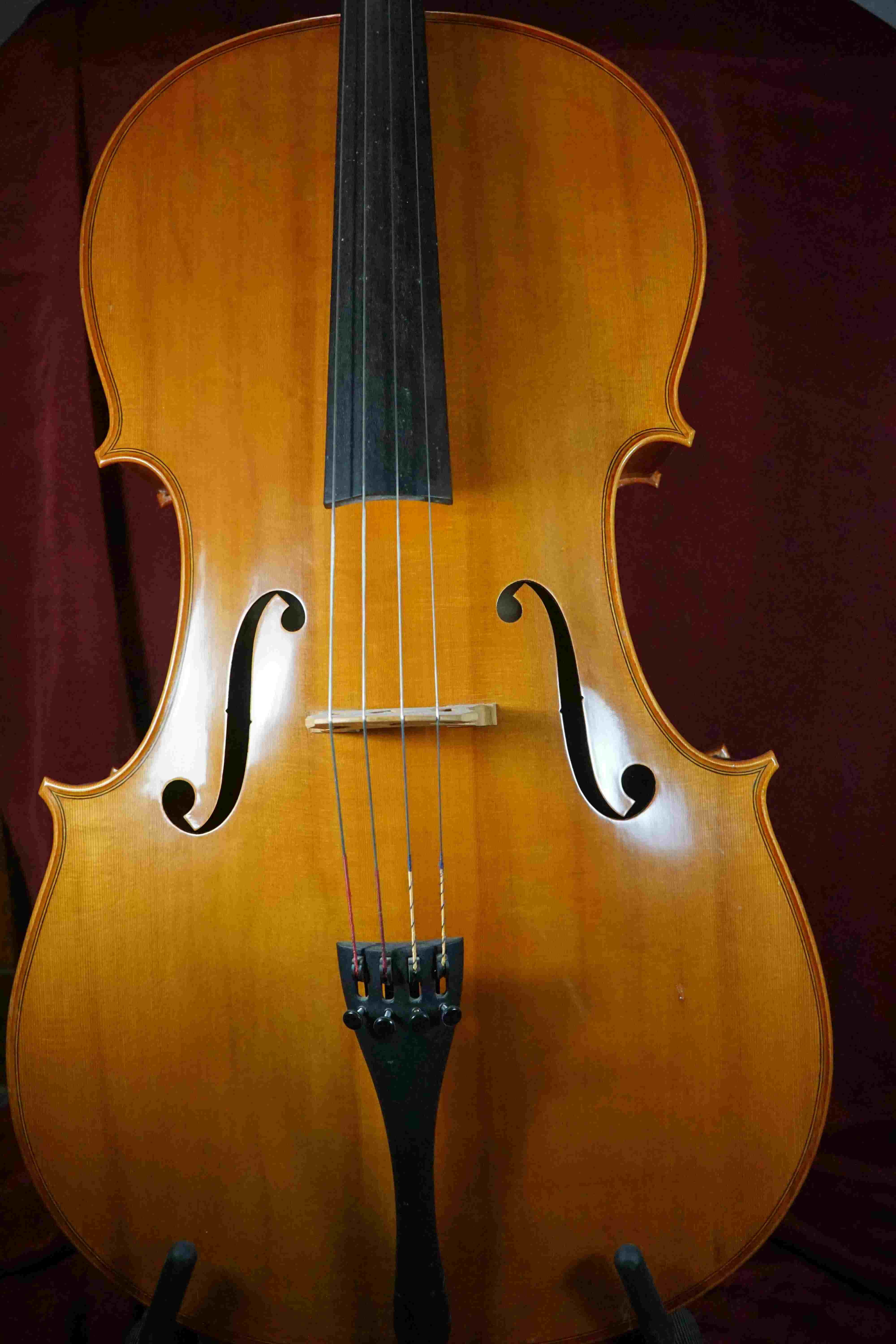 violoncelle d'étude chatel guyon