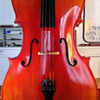 violoncelle garniture clermont ferrand
